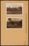 Bronx: White Plains Road - Brady Avenue
