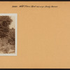Bronx: White Plains Road - Brady Avenue