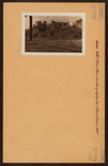 Bronx: White Plains Road - Lydig Avenue