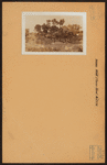 Bronx: White Plains Road - Astor Avenue