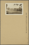 Bronx: Williamsbridge Road - Pierce Avenue