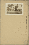 Bronx: Willow Lane - Eastern Boulevard