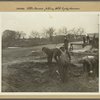 Bronx: Yates Avenue - Neill Avenue
