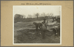 Bronx: Yates Avenue - Neill Avenue