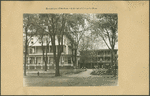 Brooklyn: 17th Avenue - Cropsey Avenue
