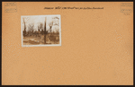 Brooklyn: 19th Street (West) - Surf Avenue
