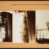 Brooklyn: 40th Street (East) - Kings Highway