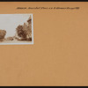 Brooklyn: Amersfort Place - Glenwood Road
