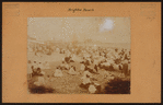 Brooklyn: Coney Island Avenue - Ocean Parkway