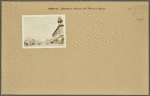 Brooklyn: Bushwick Avenue - Jamaica Avenue