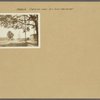Brooklyn: Canarsie Lane - 39th Street (East)