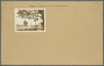 Brooklyn: Canarsie Lane - 39th Street (East)