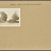 Brooklyn: Canarsie Lane - 52nd Street (East)