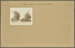Brooklyn: Canarsie Lane - 52nd Street (East)
