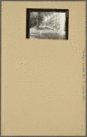 Brooklyn: Central Avenue - Greene Avenue