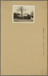 Brooklyn: Church Avenue - Coney Island Avenue