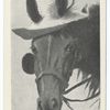 Is my hat on straight?, Life Cartoons