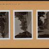 Brooklyn: Classon Avenue - Fulton Street