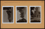 Brooklyn: Classon Avenue - Fulton Street