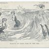 Plenty of Good Fish in the Sea, Life Cartoons