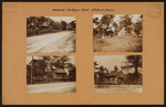 Brooklyn: Cortelyou Road - Flatbush Avenue