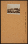 Brooklyn: Crown Street - Nostrand Avenue