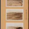 Brooklyn: Cropsey Avenue - 14th Street