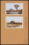 Brooklyn: Elton Street - Wortman Street