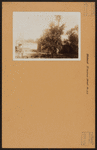 Brooklyn: Erasmus Street - Rogers Avenue