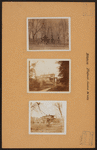 Brooklyn: Flatbush Avenue - Westbury Court