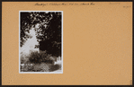 Brooklyn: Flatbush Avenue - Church Avenue