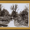 Brooklyn: Flatbush Avenue - Ditmas Avenue