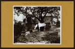 Brooklyn: Flatbush Avenue - Vanderveer Place