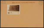 Brooklyn: Fleet Street - Flatbush Avenue