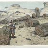 The Petrified Forest, Arizona