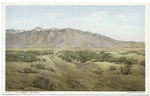 The Desert, Arizona