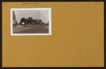 Brooklyn: Greene Avenue - Fulton Street