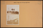 Brooklyn: Halsey Street - Irving Avenue