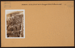 Brooklyn: Hicks Street - Pineapple Street