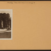 Brooklyn: Hicks Street - Orange Street