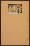 Brooklyn: Hicks Street - Montague Street