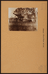 Brooklyn: Jerome Street - Dumont Avenue