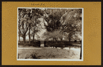 Brooklyn: Kings Highway - Varick Street