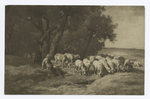 In Pasture, Charles Emile Jacque