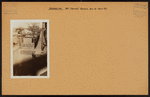 Brooklyn: McDonald Avenue - Neck Road