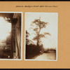 Brooklyn: Montague Street - Furman Street