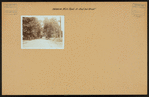 Brooklyn: Neck Road - 3rd Street (East)