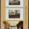 Brooklyn: Neck Road - Elmore Place