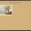 Brooklyn: Neck Road - Delamere Place