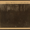 Brooklyn: Neck Road - Ryder Avenue